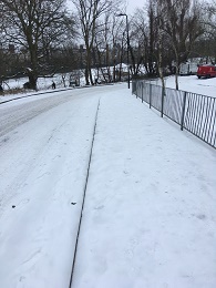 今日も雪。大雪でした。_e0010856_942394.jpg