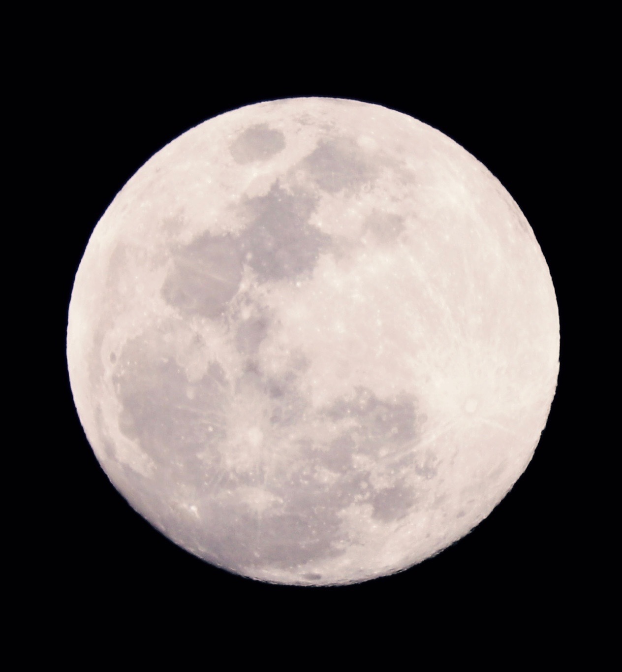 a0248459_14562527.jpg