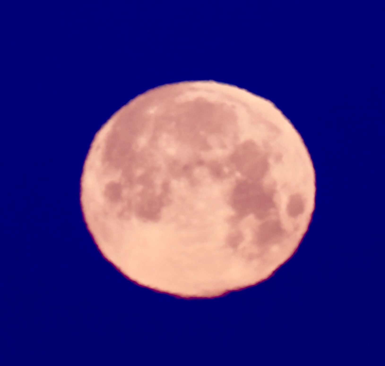 a0248459_15013821.jpg