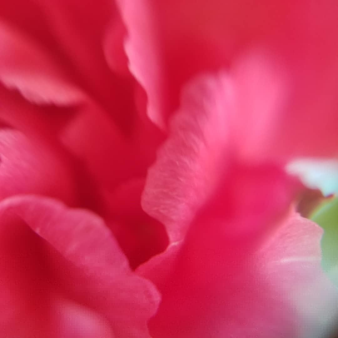 f0236260_16071043.jpg