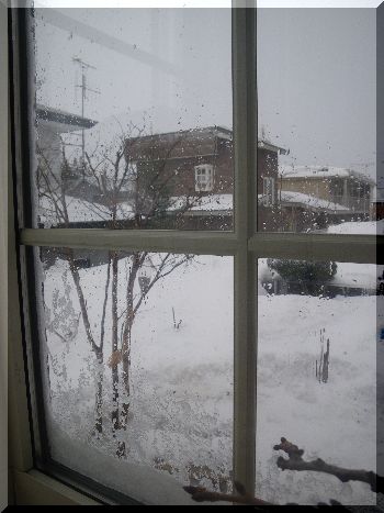 c0024861_920512.jpg