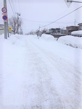 暴風雪の中、プレゼント到着♪_d0140668_16352668.jpg