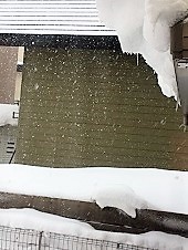 暴風雪の中、プレゼント到着♪_d0140668_16354854.jpg