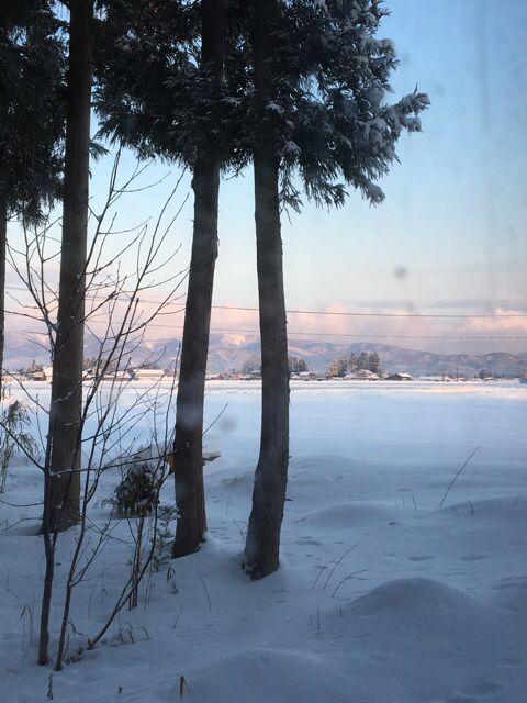 c0380878_07352678.jpg
