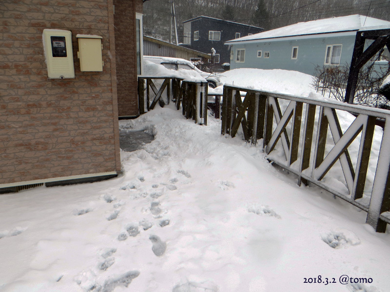 挫折！　除雪コンプリートならず_f0067179_11172625.jpg