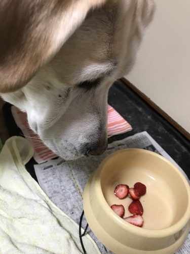 f0315081_22394229.jpeg