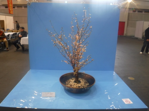 静岡県華道連盟先生の作品_d0195183_01021063.jpeg