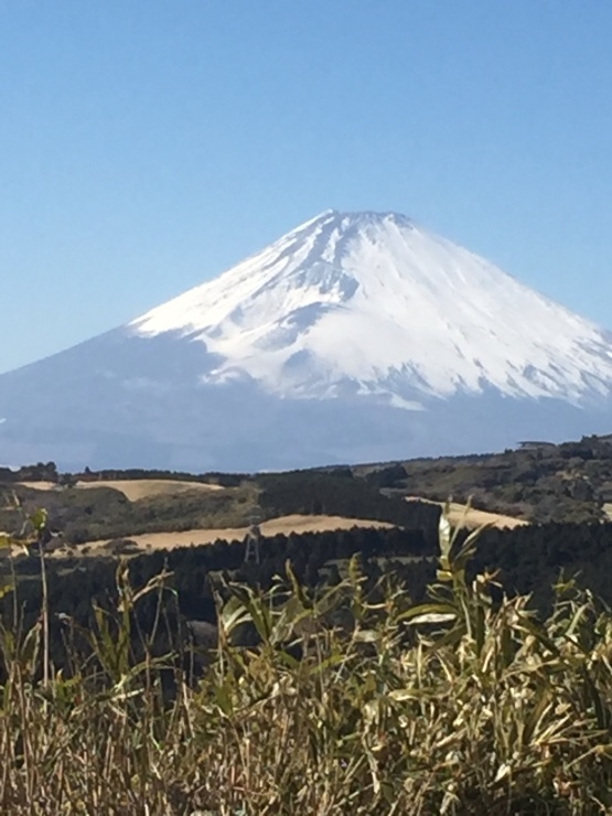 2018年3月2日 空気のせい_b0098584_19310029.jpeg
