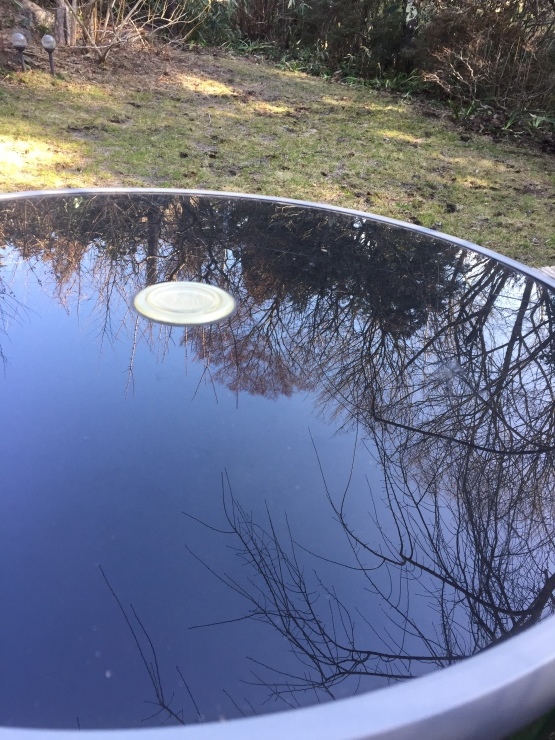 2018年3月2日 空気のせい_b0098584_19315939.jpeg