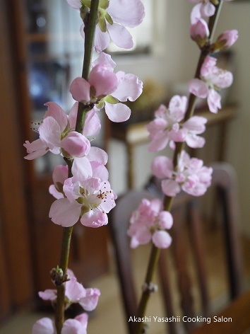 桃の花と雛人形_f0361692_21185893.jpg
