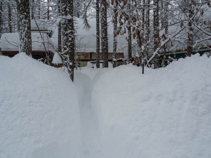 大雪です!中札内に来て11年、過去最高の積雪量になりました。_f0276498_12041215.jpg