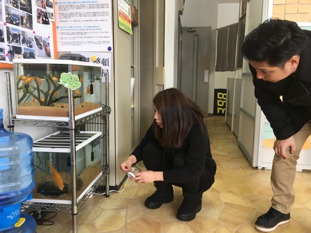 3月3日(土)☆TOMMYアウトレット☆あゆブログ٩(•̤̀ᵕ•̤́๑) 自社ローン・ローンサポートのことならTOMMYまで♪_b0127002_15554427.jpg