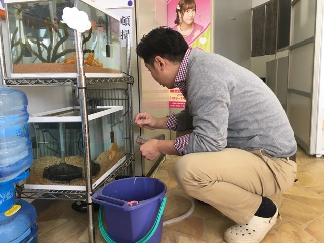 3月3日(土)☆TOMMYアウトレット☆あゆブログ٩(•̤̀ᵕ•̤́๑) 自社ローン・ローンサポートのことならTOMMYまで♪_b0127002_16054094.jpg