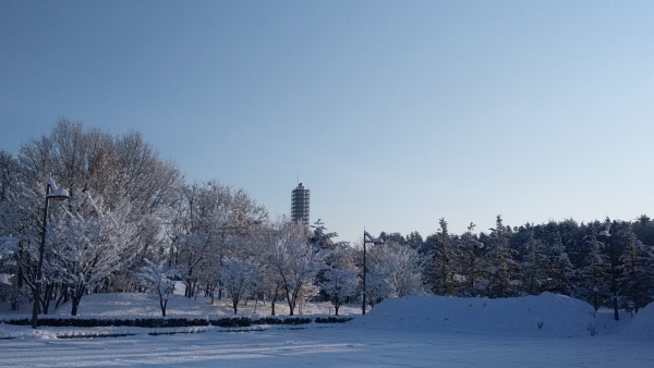 f0249602_08152890.jpg