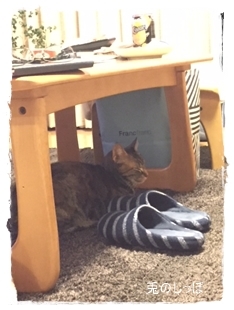 c0190707_22562765.jpeg