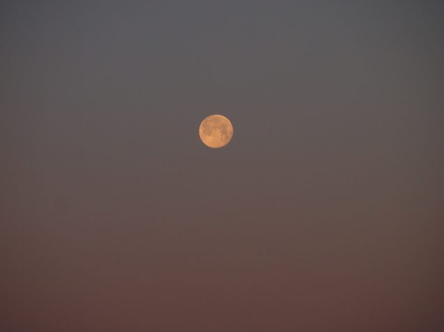 d0048812_09400707.jpg