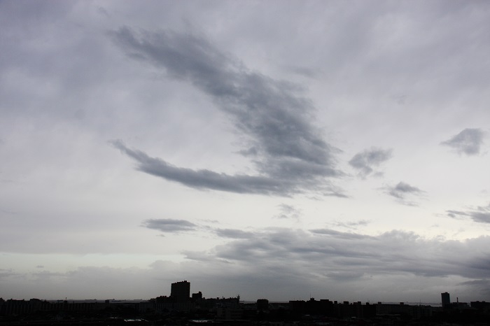 ちぎれ雲 積雲 日々の風景