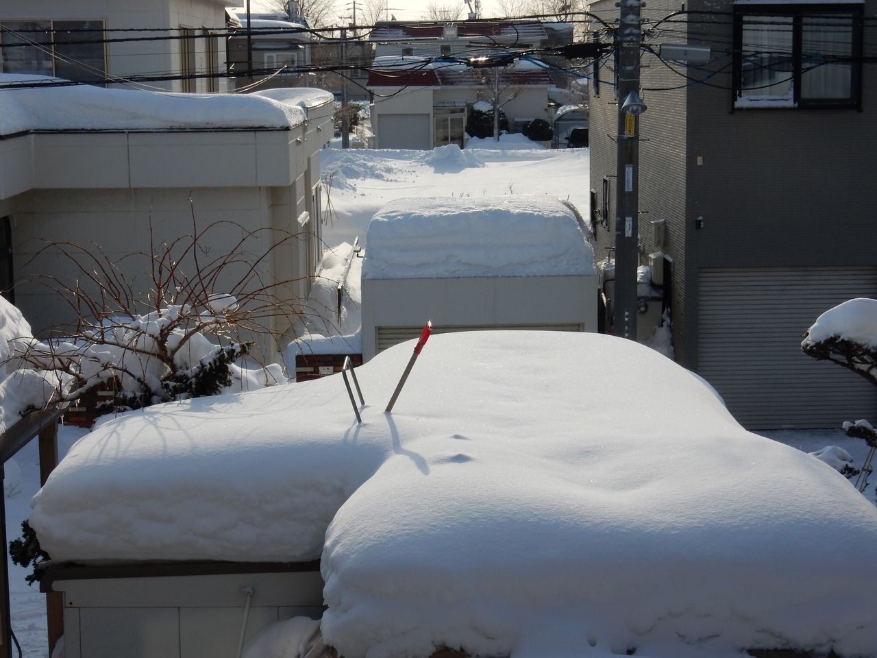 嵐の後の暖気_c0025115_20434215.jpg