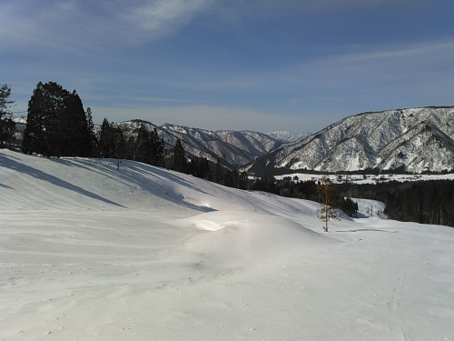 c0359615_15515135.jpg