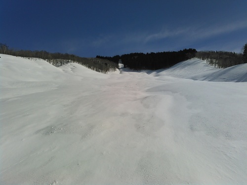 c0359615_15525258.jpg