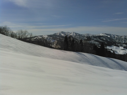 c0359615_15533687.jpg