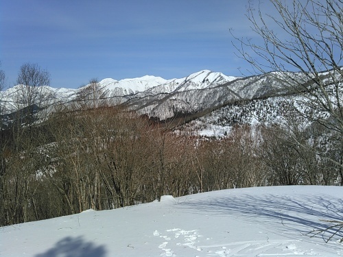 c0359615_15572313.jpg