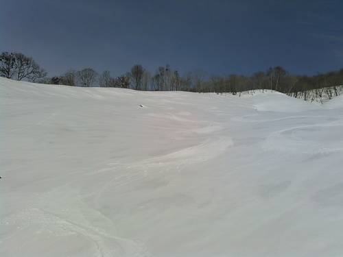 c0359615_15592793.jpg