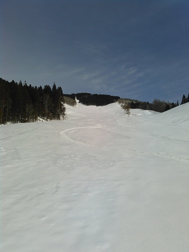 c0359615_16001343.jpg