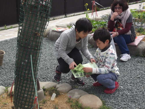 田野町のひな祭り_f0329418_20024620.jpg