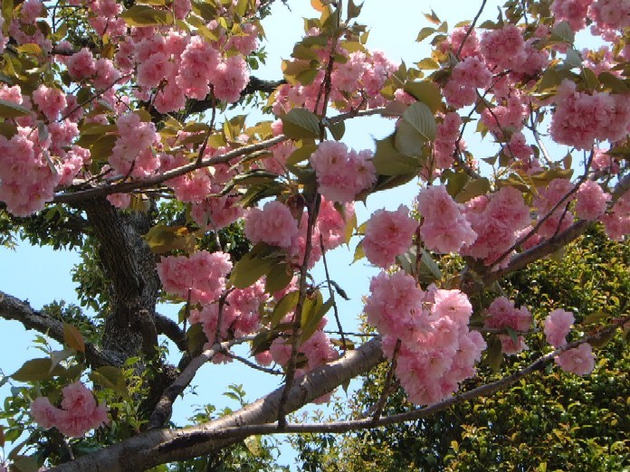 c0074721_13521200.jpg