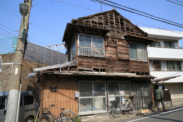 f0229832_22490990.jpg