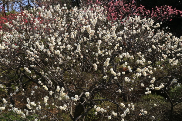 f0229832_22514651.jpg