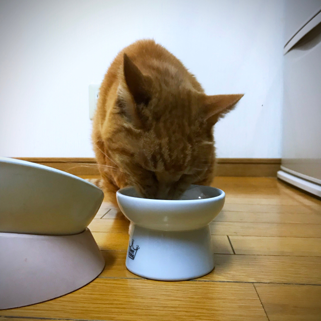 つめとぎ!_d0355333_20422924.jpg
