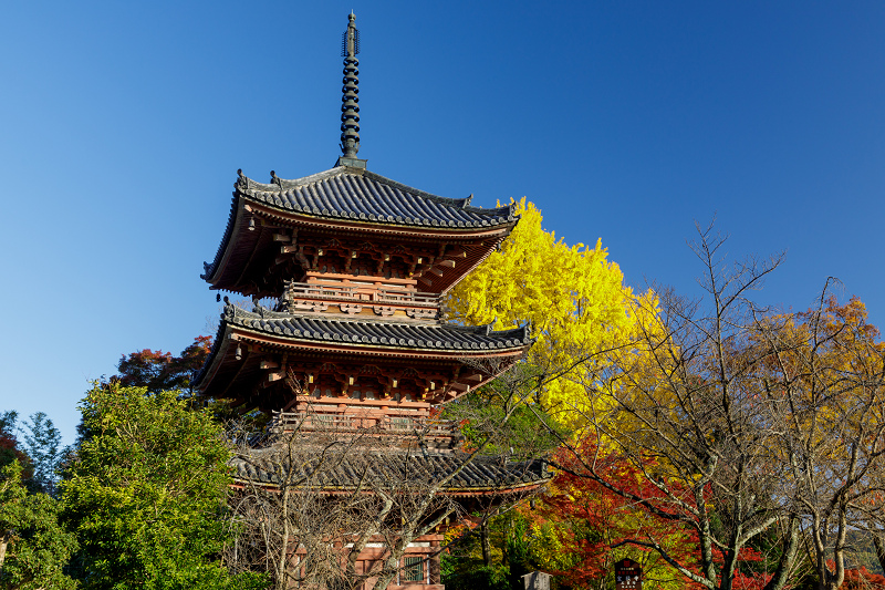 京都の紅葉2017 色とりどりの宝積寺_f0155048_23313323.jpg