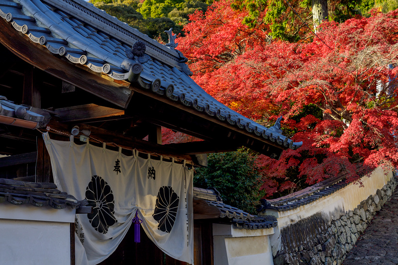 京都の紅葉2017 色とりどりの宝積寺_f0155048_23315662.jpg