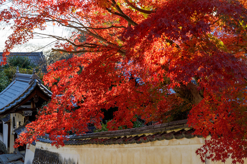 京都の紅葉2017 色とりどりの宝積寺_f0155048_23344334.jpg