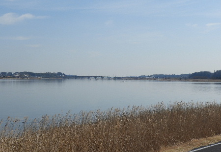 e0172950_20202692.jpg