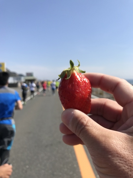 明日は 静岡マラソンです ‼️_a0242657_15003560.jpeg