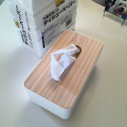 たかがティッシュBOX。_b0107163_15354730.jpg