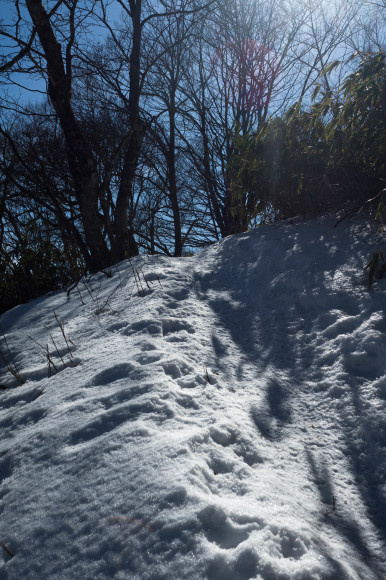 c0260264_20111598.jpg