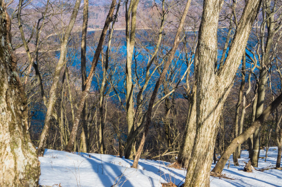 c0260264_20135416.jpg