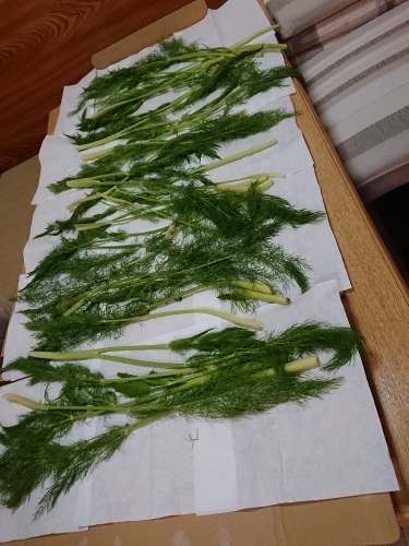 琉球小料理 つぼや_c0100865_07505160.jpg