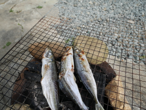 備長炭はスゴい!_f0054677_09105641.jpg