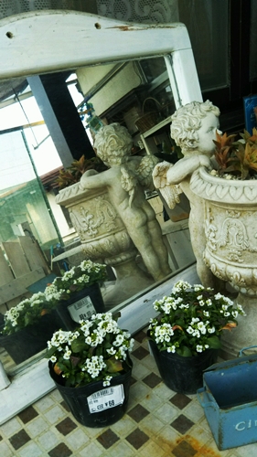 f0366679_2058843.jpg
