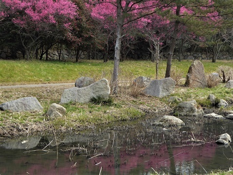 a0147281_20501626.jpg