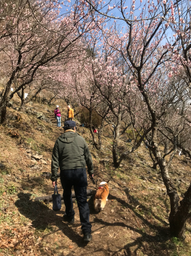 湯河原梅園_f0101201_15301849.jpg