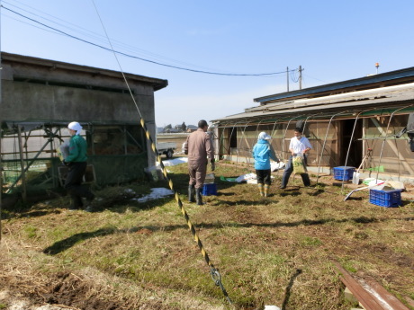 豊栄の宮尾農園　無肥料・無農薬の田など_a0203003_20374533.jpg