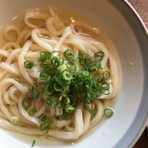 ひとりっぷ。香川うどん県編_a0215008_04161076.jpg