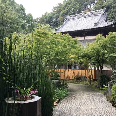 はじめてのひとりっぷ。今治、宿坊編。_a0215008_04274077.jpg