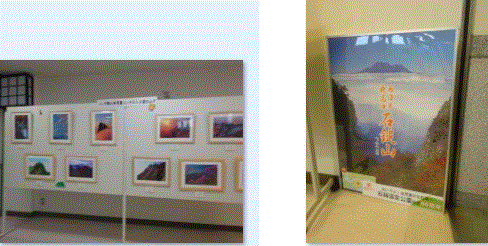 f0231709_15520276.gif